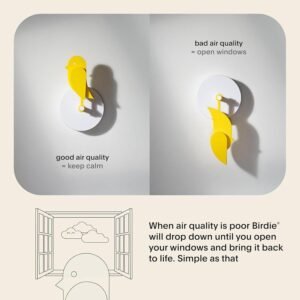 Breathe Easy with the Birdie CO2 Monitor.